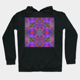 Funky in purple, blue and red Hoodie